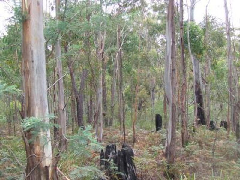 Lot 2 Tasman Highway, St Helens TAS 7216