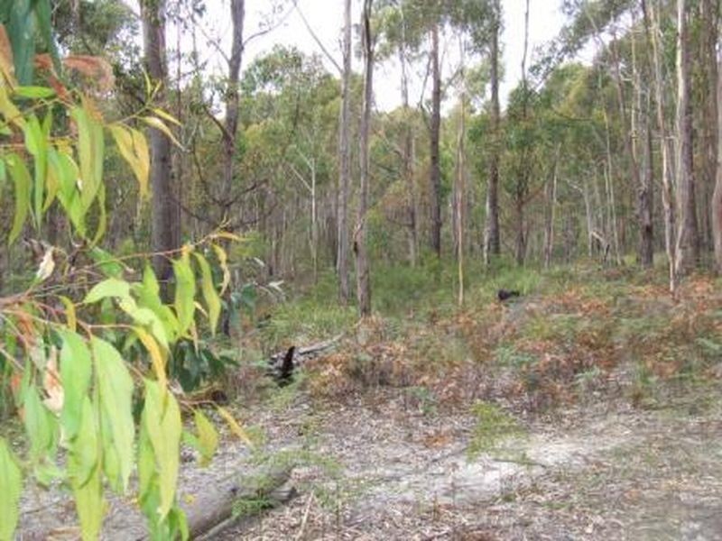 Lot 2 Tasman Highway, St Helens TAS 7216