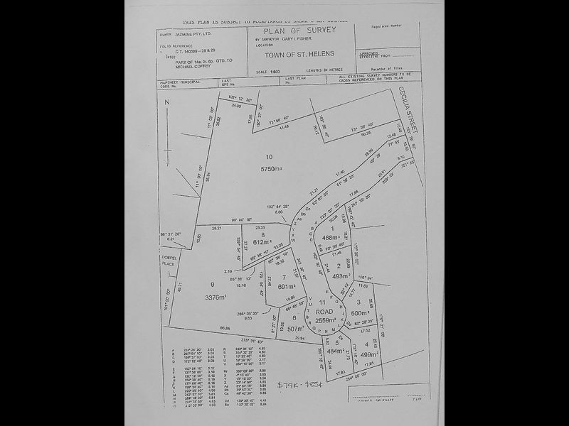 83 Cecilia Street, St Helens TAS 7216