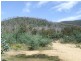 Davis Gully Road, Four Mile Creek TAS 7215