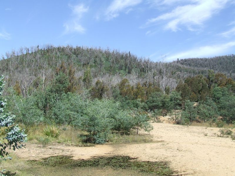 Davis Gully Road, Four Mile Creek TAS 7215