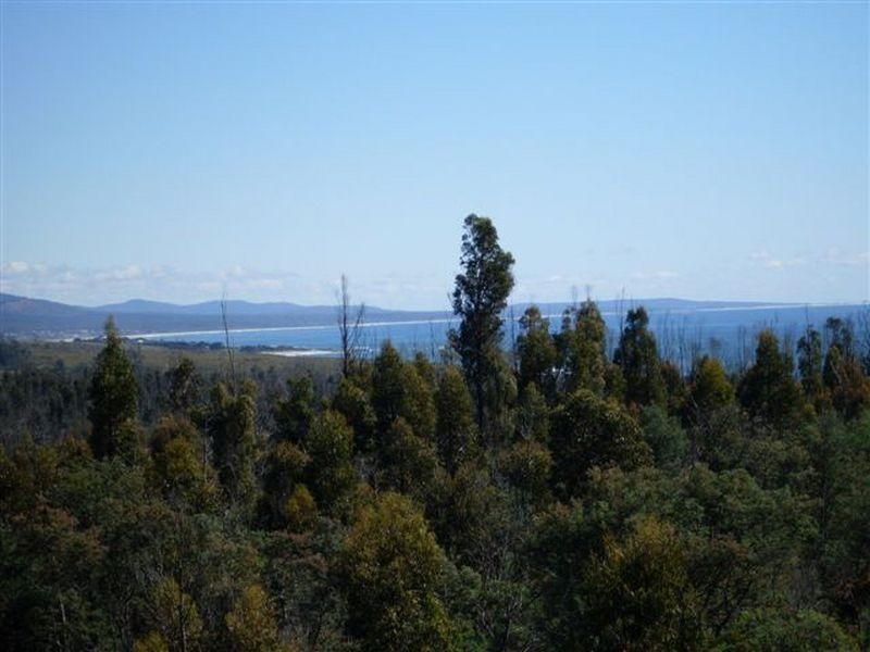 Davis Gully Road, Four Mile Creek TAS 7215