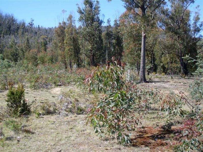 Davis Gully Road, Four Mile Creek TAS 7215