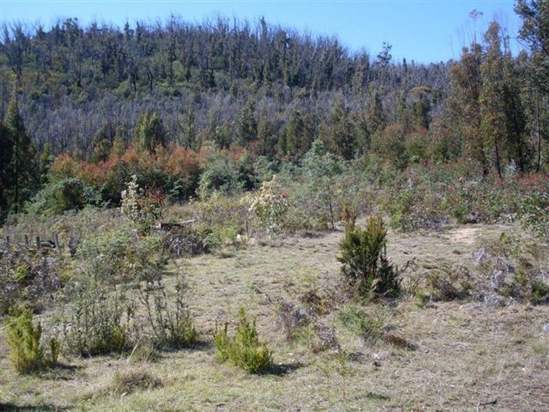 Davis Gully Road, Four Mile Creek TAS 7215