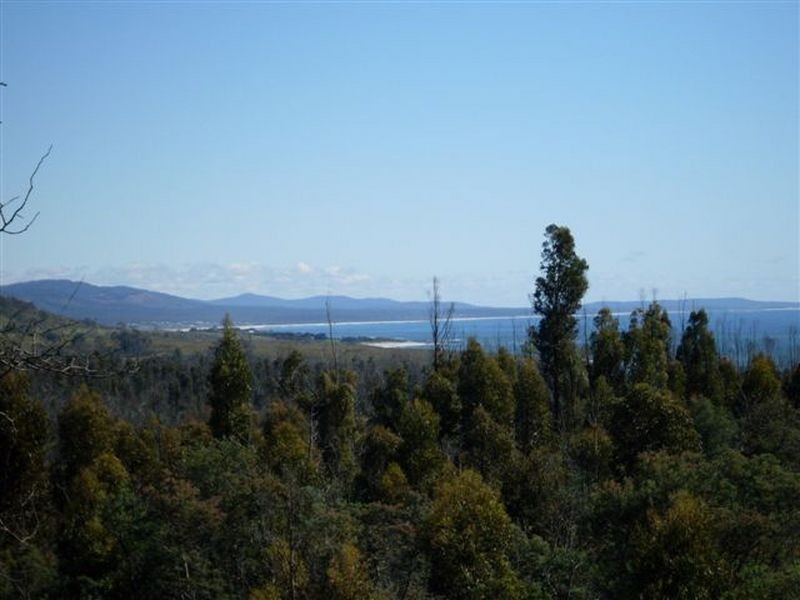 Davis Gully Road, Four Mile Creek TAS 7215