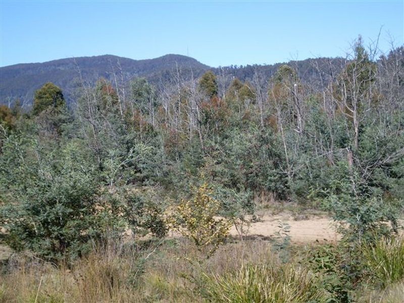 Davis Gully Road, Four Mile Creek TAS 7215
