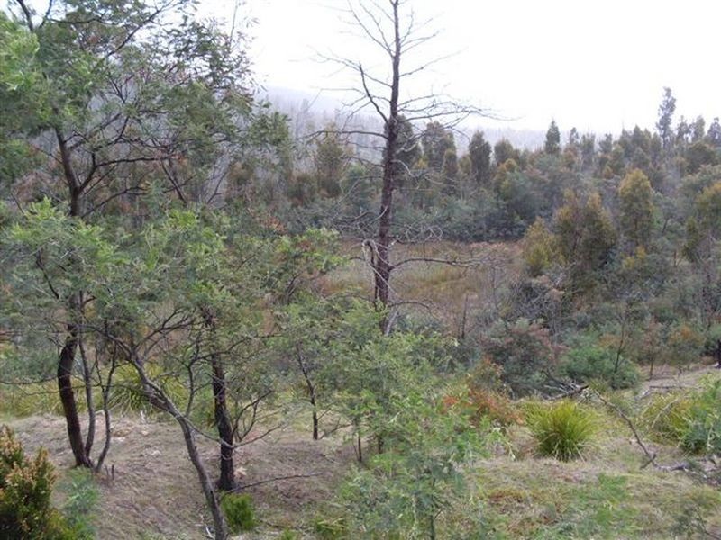 Davis Gully Road, Four Mile Creek TAS 7215