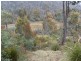 Davis Gully Road, Four Mile Creek TAS 7215