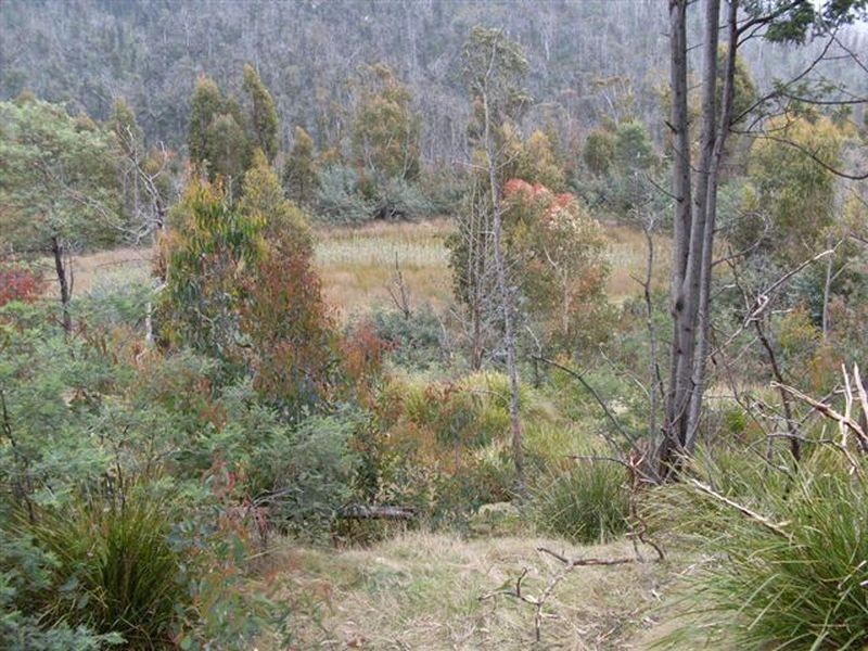 Davis Gully Road, Four Mile Creek TAS 7215