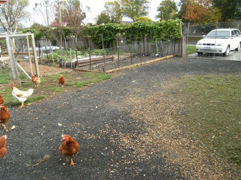 54 Tully Street, St Helens TAS 7216