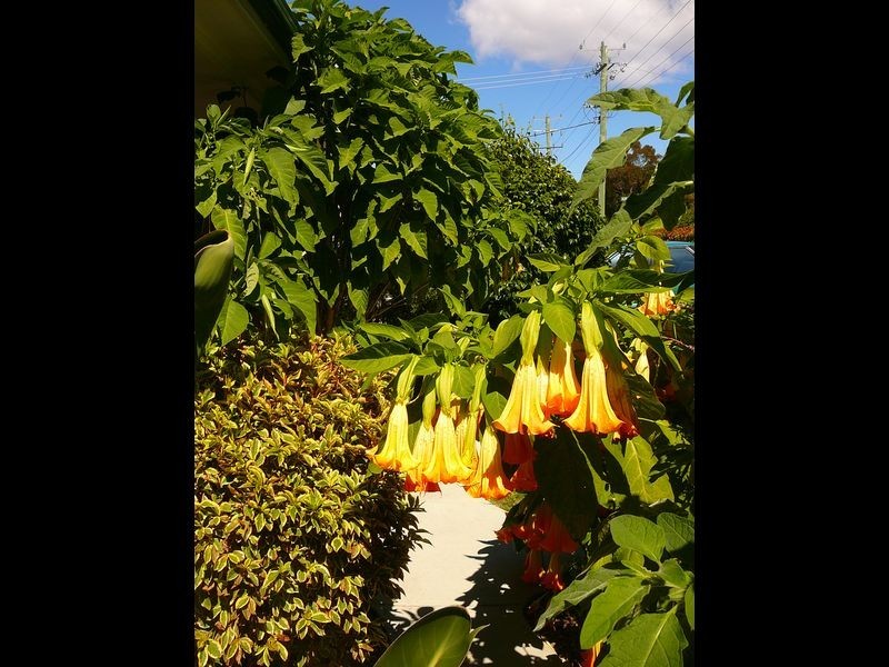 106 St Helens Point Road, Stieglitz TAS 7216