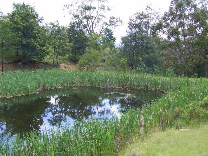 Lot 2 Sorell Street, Fingal TAS 7214