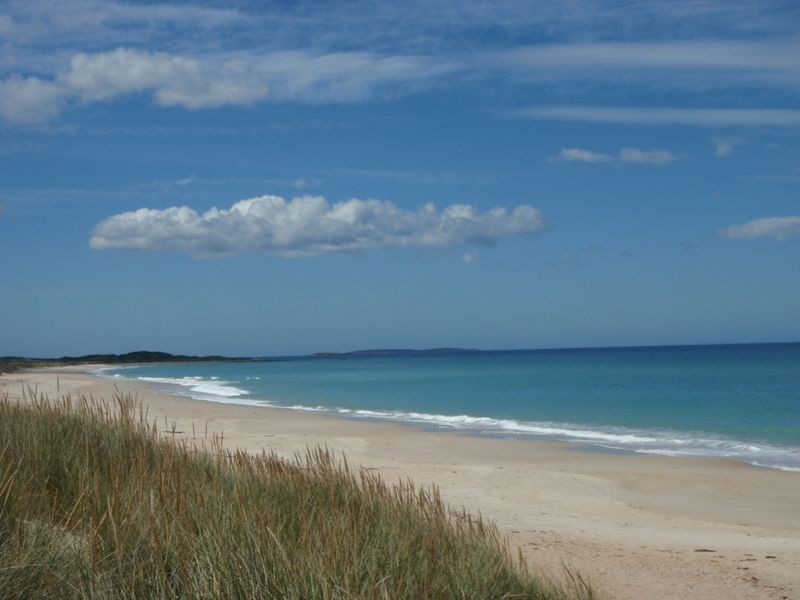 65 Scamander Avenue, Scamander TAS 7215