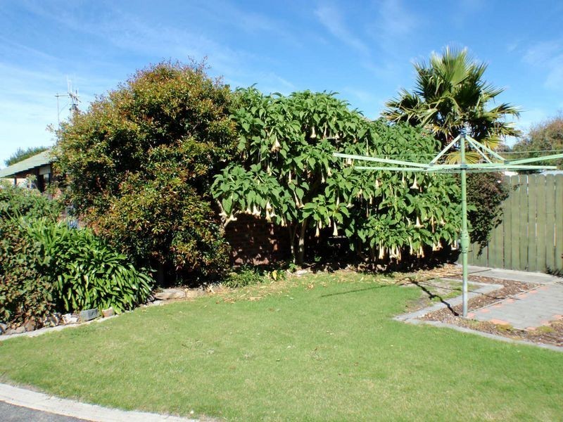 65 Scamander Avenue, Scamander TAS 7215