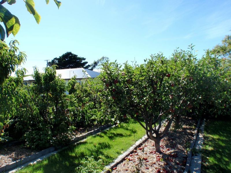 65 Scamander Avenue, Scamander TAS 7215