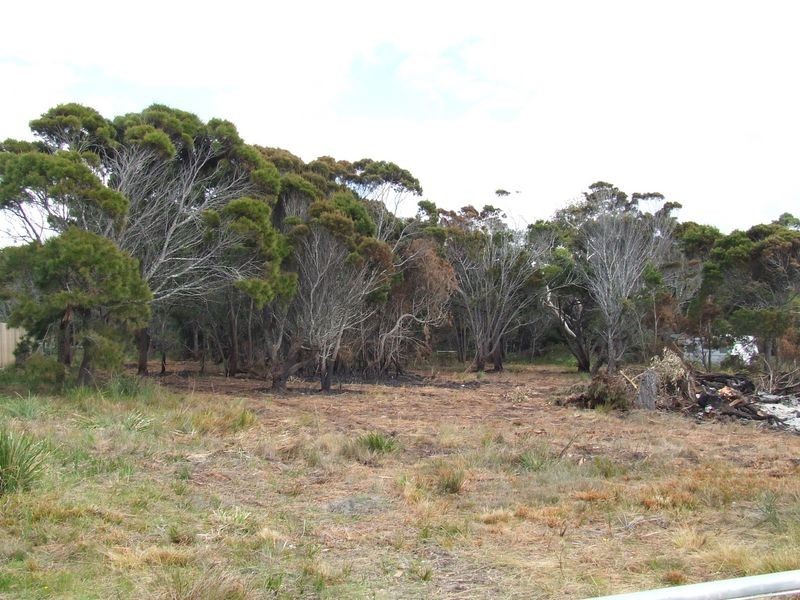 18 Seaview Avenue, Beaumaris TAS 7215