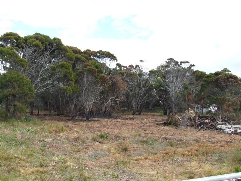 18 Seaview Avenue, Beaumaris TAS 7215