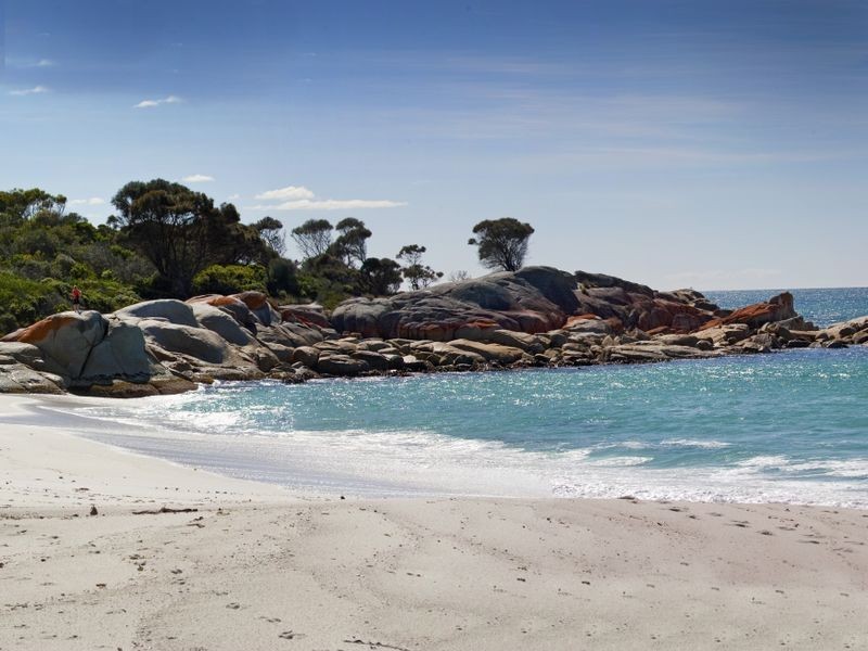 10 Lyall Road, Binalong Bay TAS 7216
