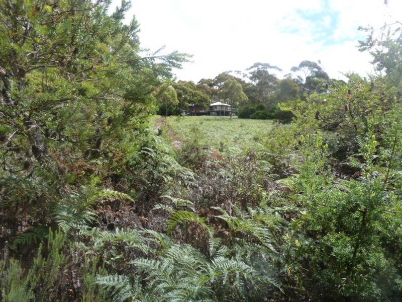 10 Lyall Road, Binalong Bay TAS 7216