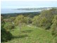 10 Lyall Road, Binalong Bay TAS 7216
