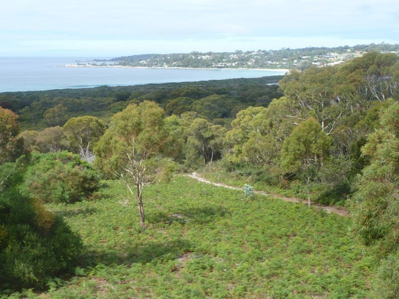 10 Lyall Road, Binalong Bay TAS 7216
