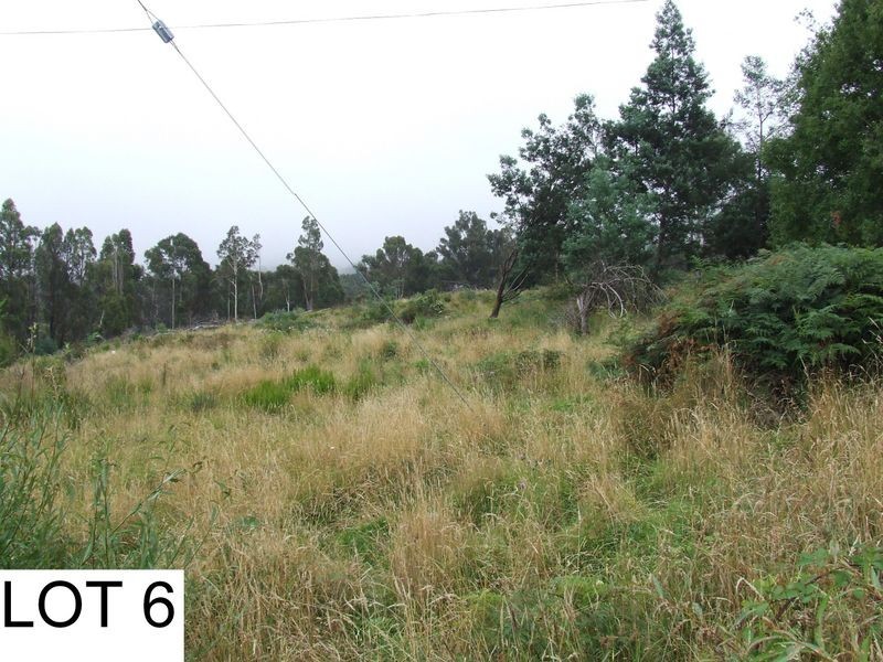 William Street, Cornwall TAS 7215