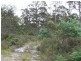Elephant Pass Road, Gray TAS 7215