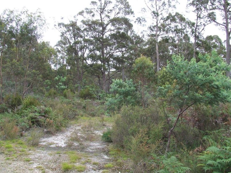 Elephant Pass Road, Gray TAS 7215