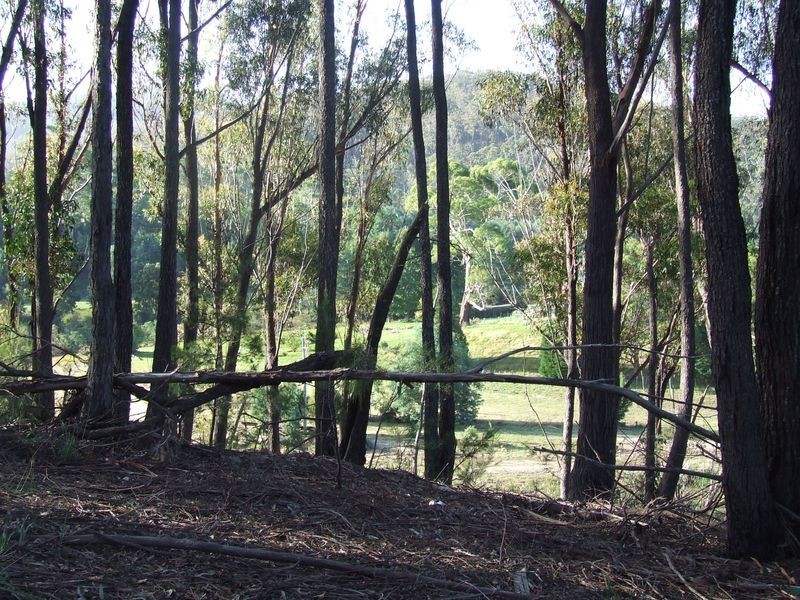 Lot 1 Upper Scamander Road, Beaumaris TAS 7215