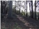 Lot 1 Upper Scamander Road, Beaumaris TAS 7215