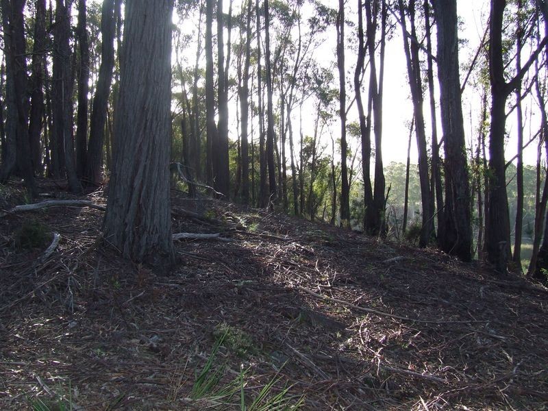 Lot 1 Upper Scamander Road, Beaumaris TAS 7215