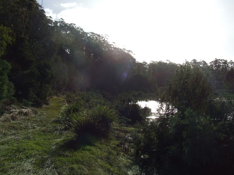 Lot 1 Upper Scamander Road, Beaumaris TAS 7215