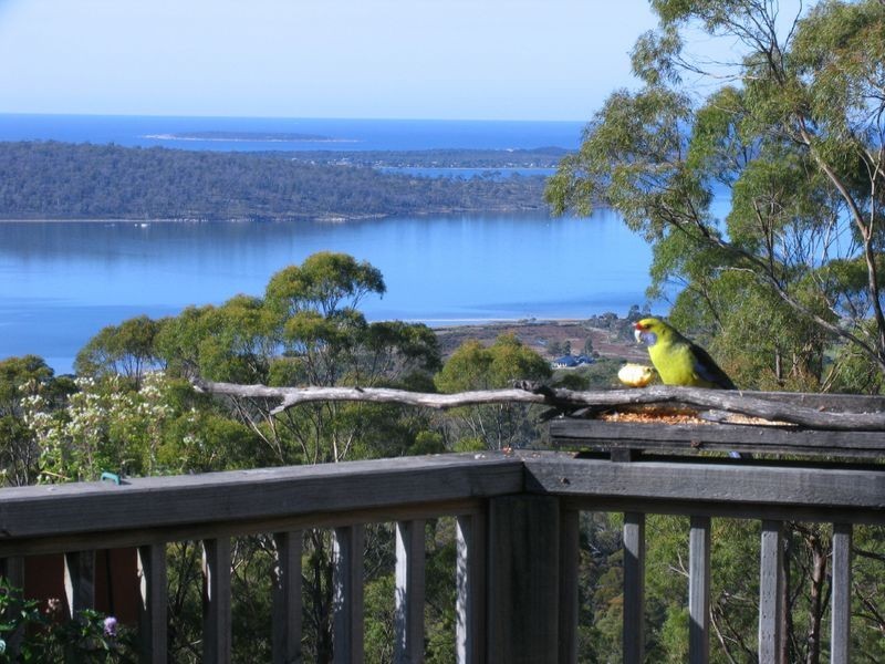 701 Binalong Bay Road, Binalong Bay TAS 7216