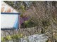 156 Cornwall Road, Cornwall TAS 7215