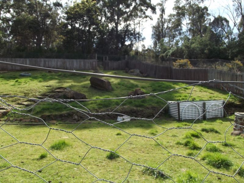 156 Cornwall Road, Cornwall TAS 7215