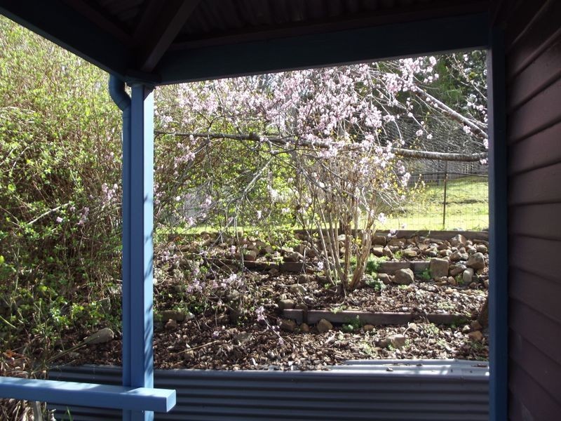 156 Cornwall Road, Cornwall TAS 7215
