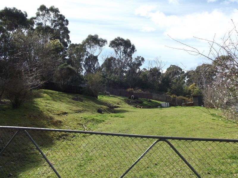 156 Cornwall Road, Cornwall TAS 7215