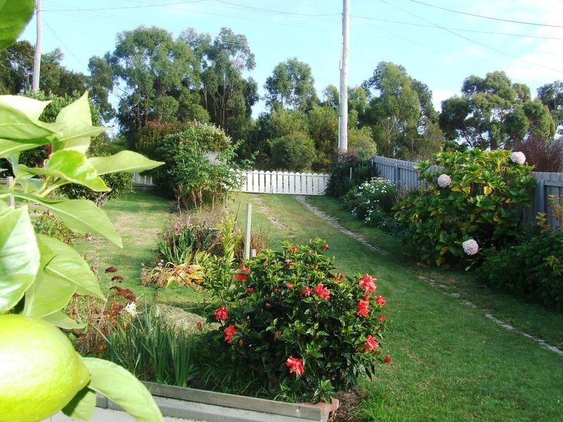 24 Felmingham Street, Binalong Bay TAS 7216