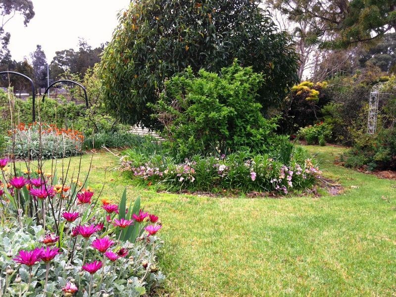 10 Osprey Drive, St Helens TAS 7216