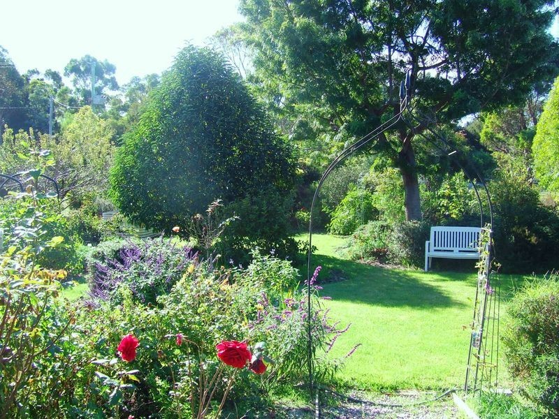 10 Osprey Drive, St Helens TAS 7216