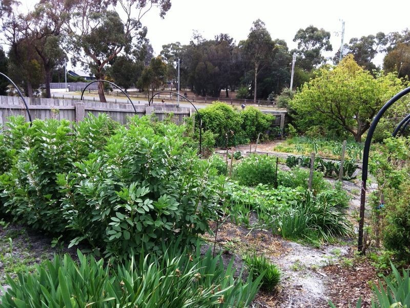 10 Osprey Drive, St Helens TAS 7216