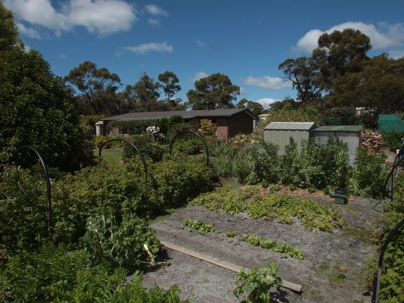 10 Osprey Drive, St Helens TAS 7216
