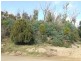 329 Upper Scamander Road, Scamander TAS 7215