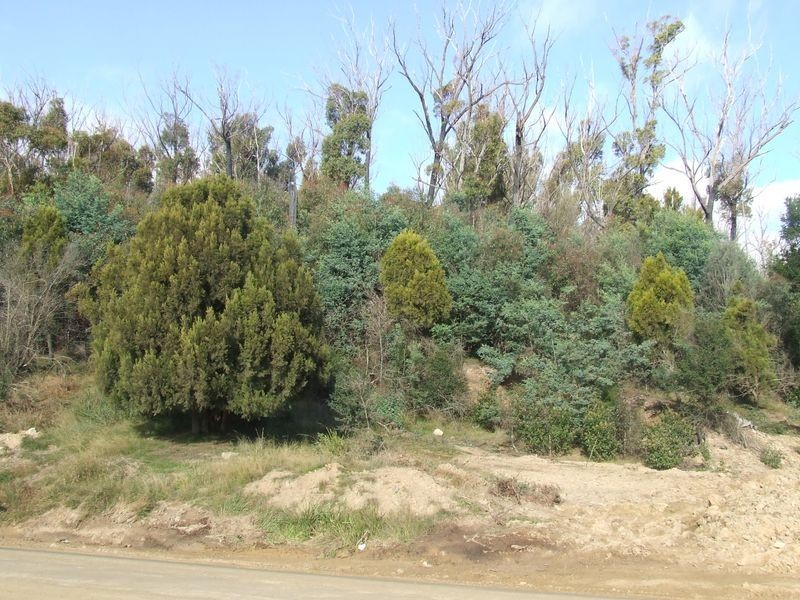 329 Upper Scamander Road, Scamander TAS 7215