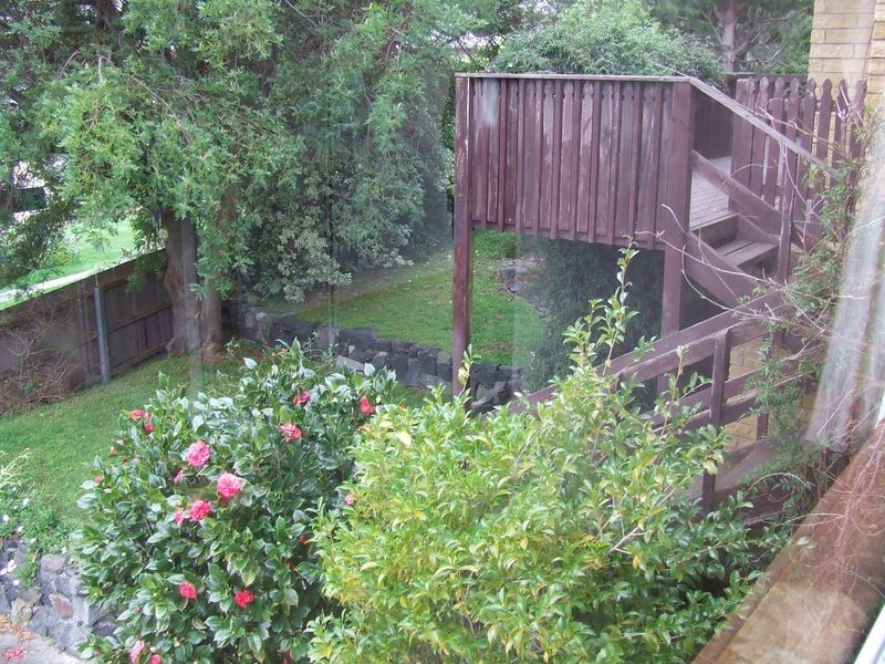 5 Erythos Grove, St Helens TAS 7216