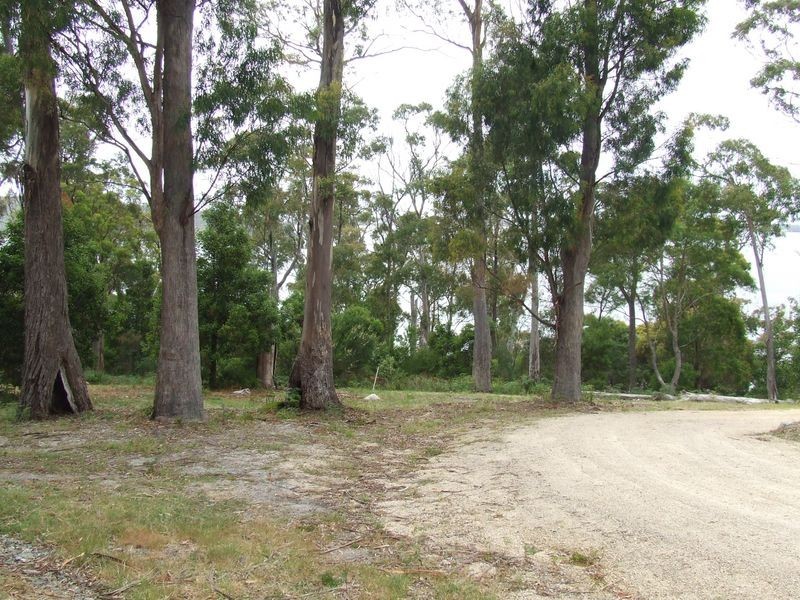 363 Binalong Bay Road, St Helens TAS 7216