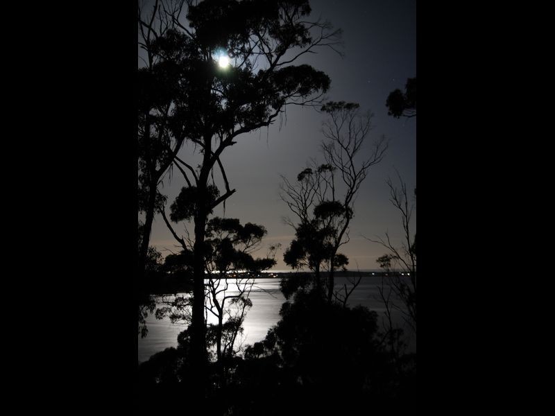 363 Binalong Bay Road, St Helens TAS 7216