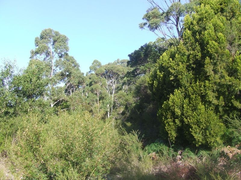 Binalong Bay Road, St Helens TAS 7216