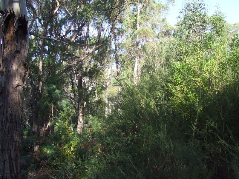 Binalong Bay Road, St Helens TAS 7216