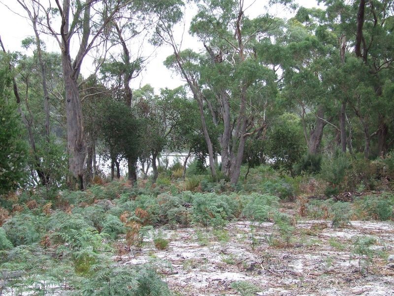 33 Melaleuca Street, Ansons Bay TAS 7216